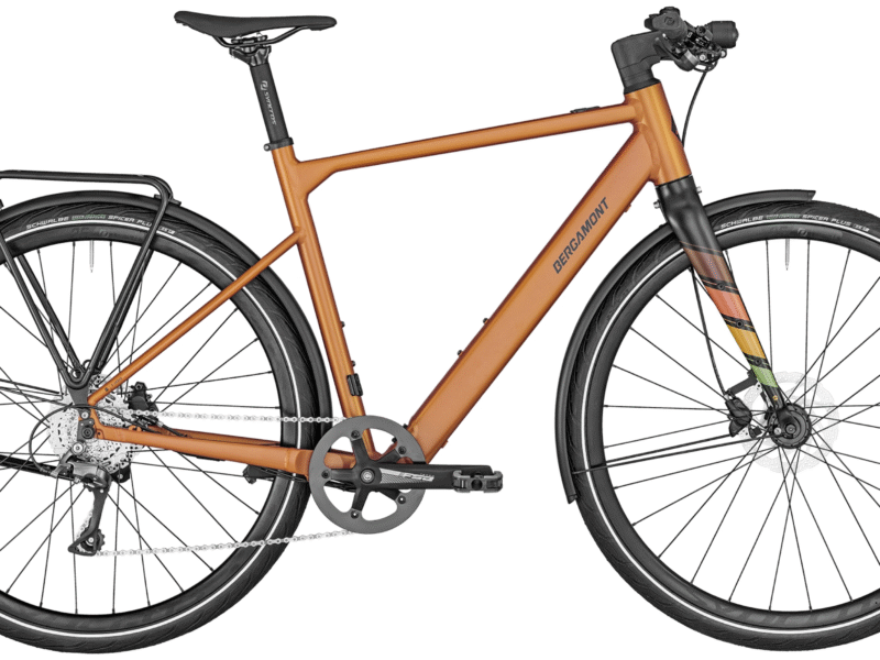 Bergamont E-Sweep Sport Diamant 250 matt rusty orange 2025